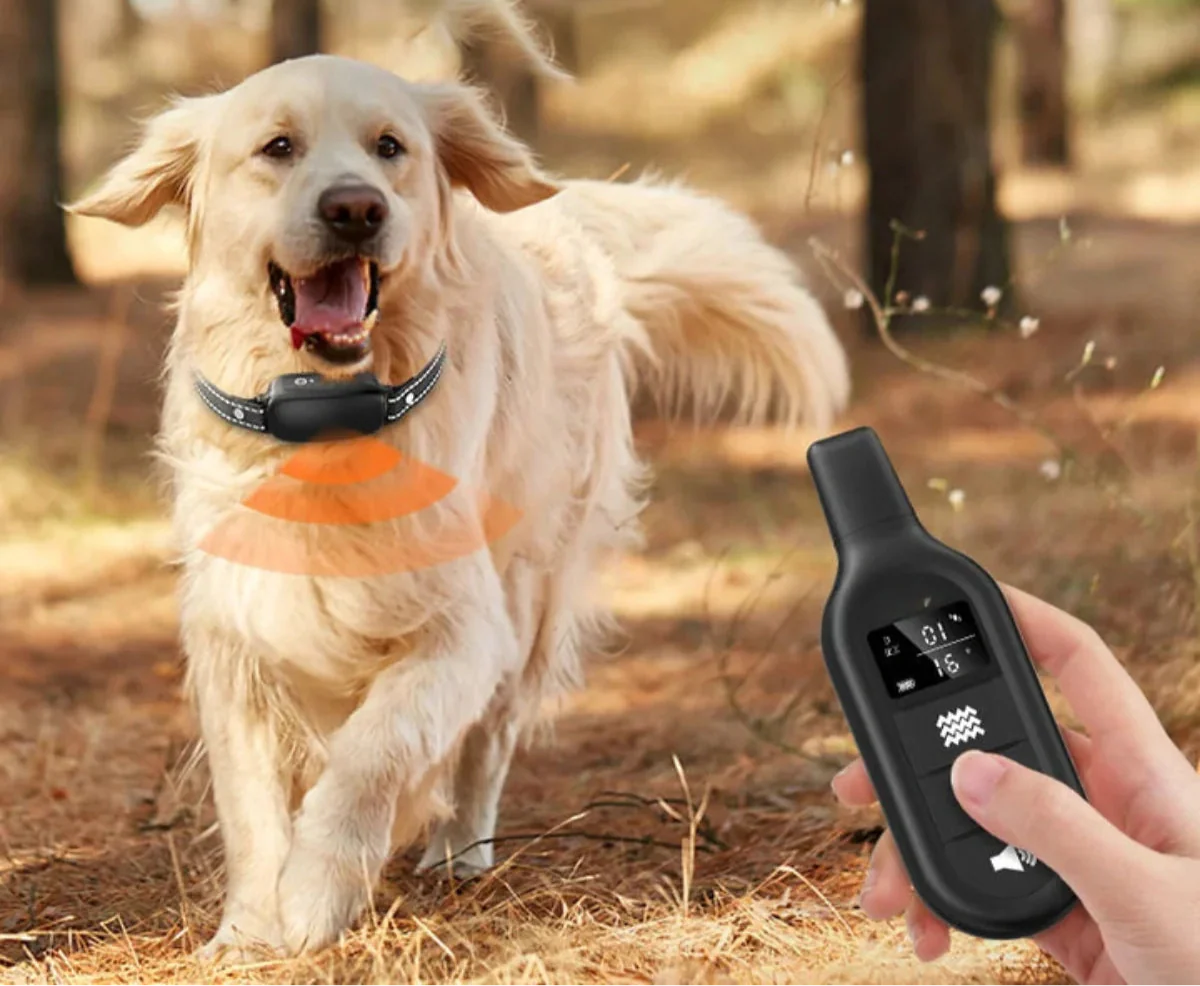 Electric dog training collar with remote control, waterproof, 16 adjustable shock levels, 1000 m range, signal & vibration mode