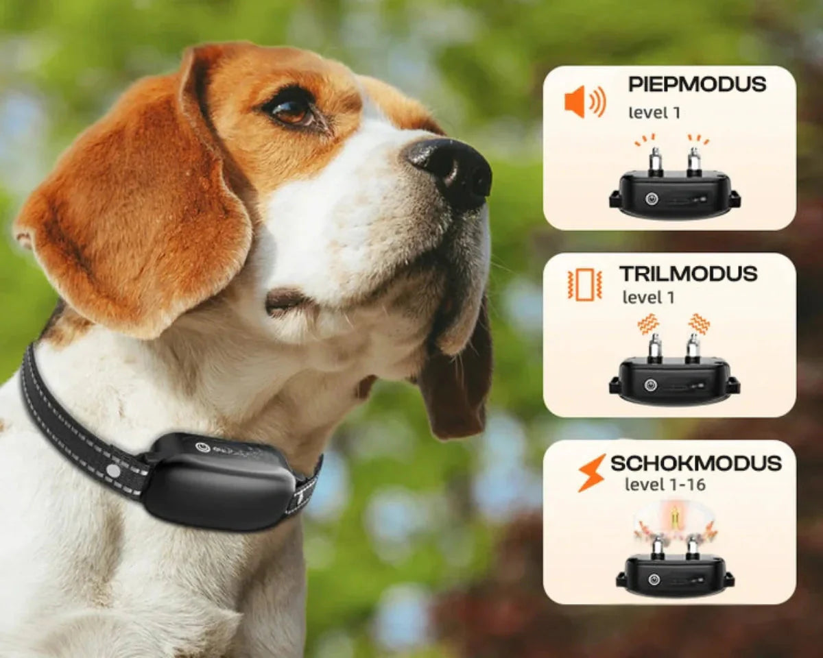 Electric dog training collar with remote control, waterproof, 16 adjustable shock levels, 1000 m range, signal & vibration mode