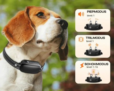 Electric dog training collar with remote control, waterproof, 16 adjustable shock levels, 1000 m range, signal & vibration mode