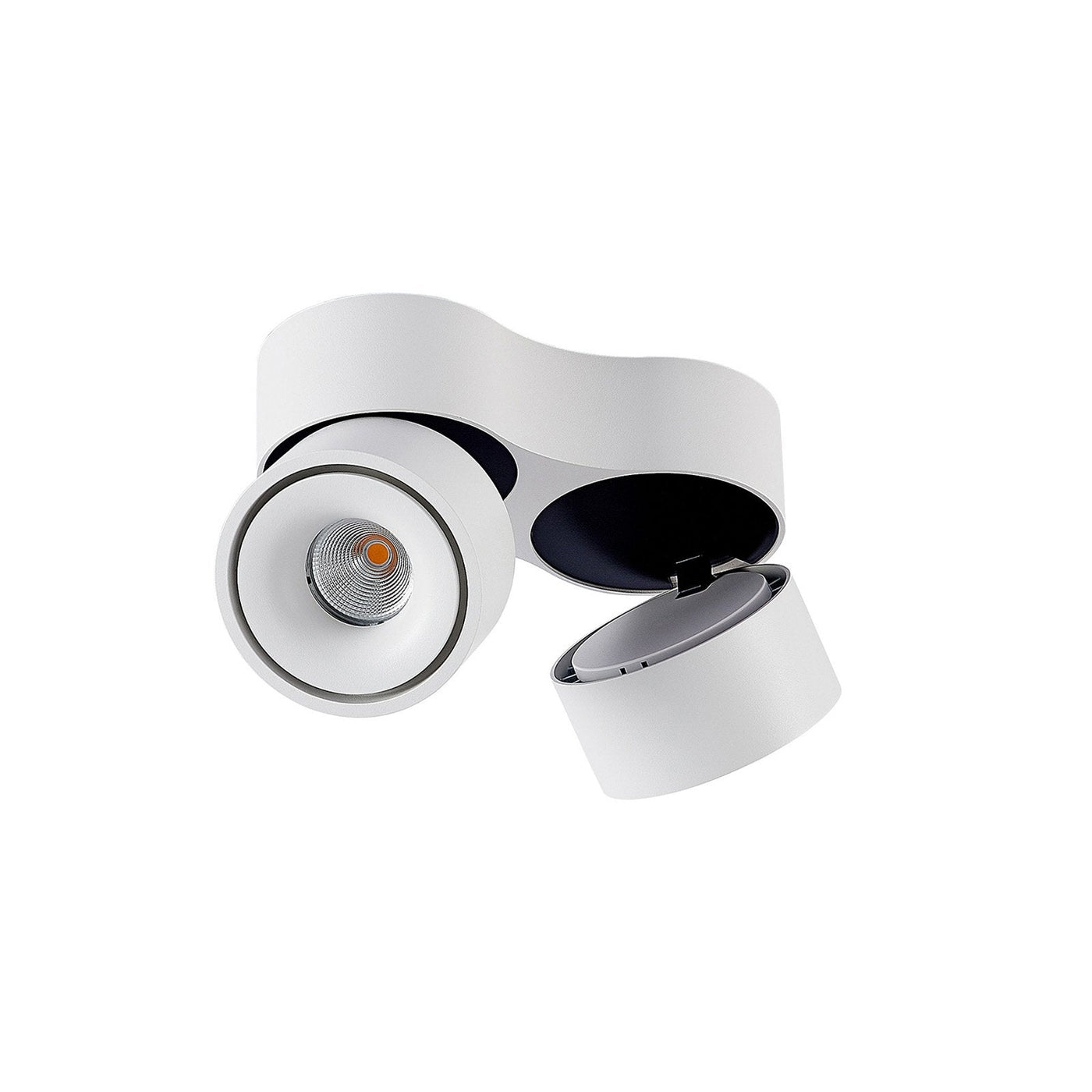 Ceiling Light with Dual Adjustable Spotlights