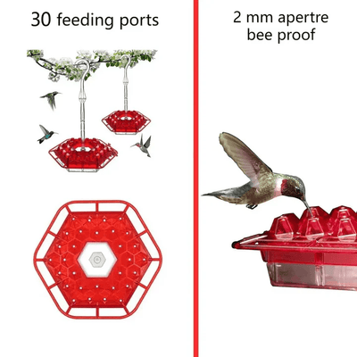Ant Proof Hummingbird Feeder, Outdoor Hanging Perch