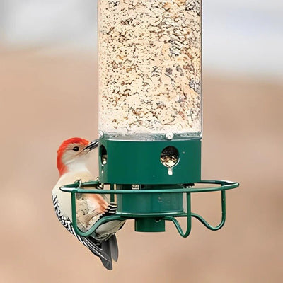 Squirrel-Proof Bird Feeder