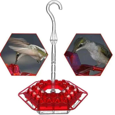Ant Proof Hummingbird Feeder, Outdoor Hanging Perch