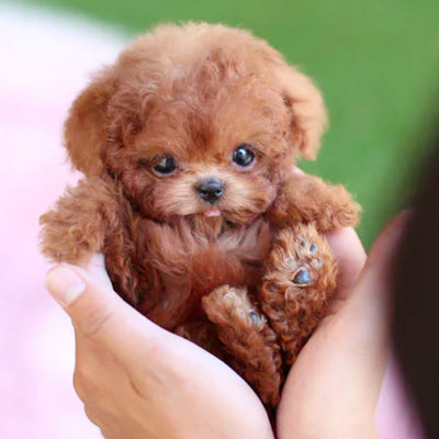Interactive Puppy Toy with Lifelike Movement
